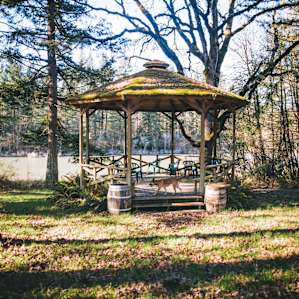 This gazebo would be super useful for more people!
