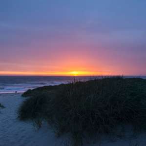 Evening sunset at the beach