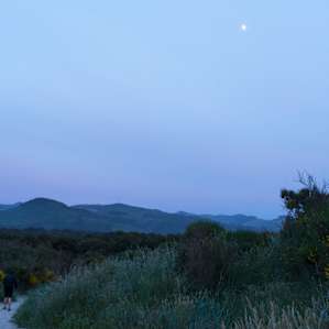 Dusk at the beach