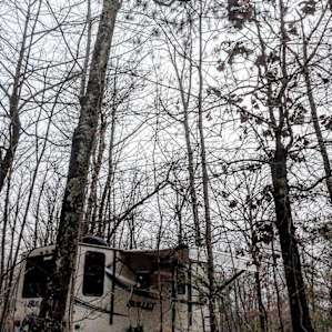 Free camping at Honey Hill