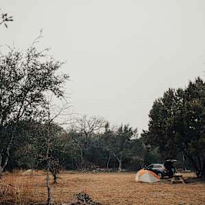 tent forest picnic table