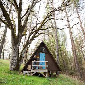 cabin forest people