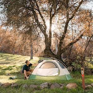 tent forest people