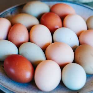 Farm eggs are beautiful and tasty! Ann & Kevin generously shared some with us during our stay.