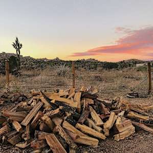 Firewood set out in the front yard.