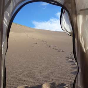Tent view of the dunes