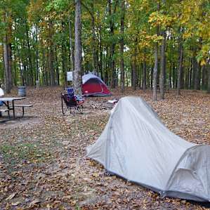 Campsite in the trees