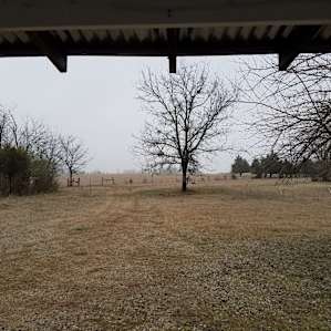 View from the front porch.