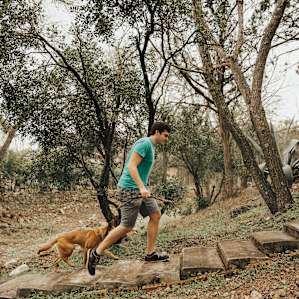 grabbing firewood from across the creekbed