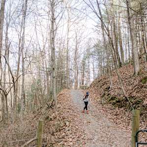 Part of the road to the campsite - you can walk it or drive it (with a small car).