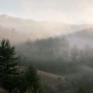 Sunrise views from the tent!