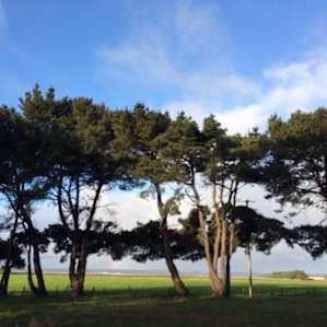View from the site