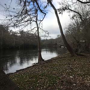 Springs/Nature Paradise