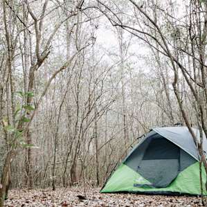A perfect spot to pitch your tent under the stars (close to the creek).