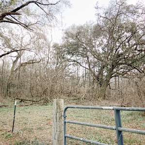 Tallahassee Outskirts Hideaway!