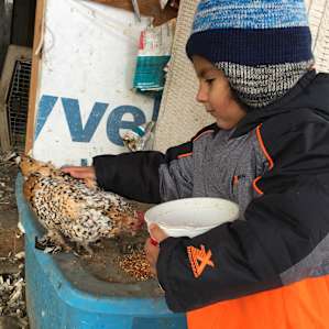 My 3 year old son helping Monika feed her beautiful feathered babies.