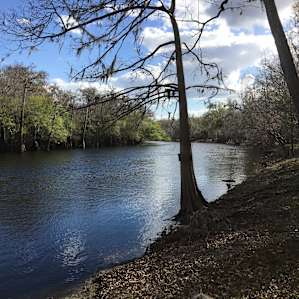 Springs/Nature Paradise