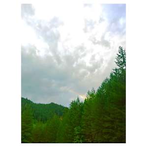 Steamboat Falls Campground