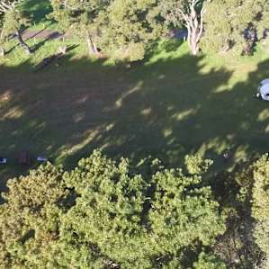 View of one corner of the Paddocks.