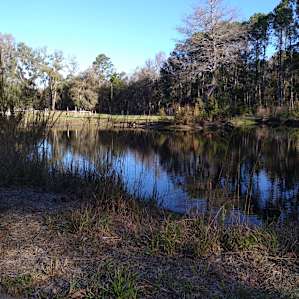 Pond next to jump field.
