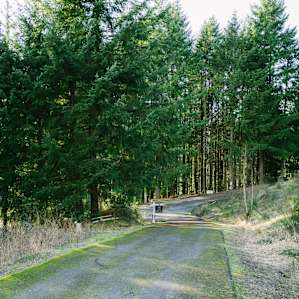 The long paved driveway. The RV hookup and water are down the hill, but not near the campsite area. It was very difficult to back up the trailer up this long driveway.
