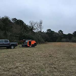 5D Ranch