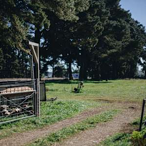 The entrance to your campsites
