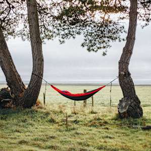 ideal place to set up a hammock