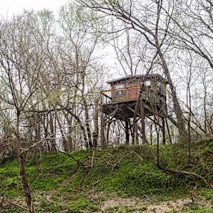 View of the beautiful treehouse from on the water.