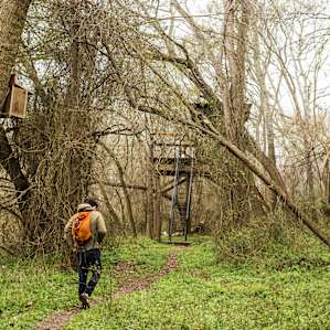 Walking along the trail from the campsite area toward the treehouse.