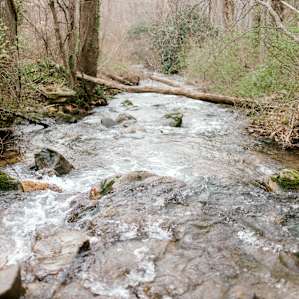 Parking is across the creek, making for a pretty walk to the yurt / kitchen & bathroom area.