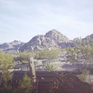 DE/TOUR Joshua Tree