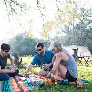 The trees provide perfect shade for an afternoon of board games