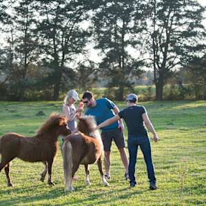 people group animal