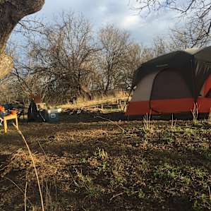 Set up camp under a huge old pecan tree
