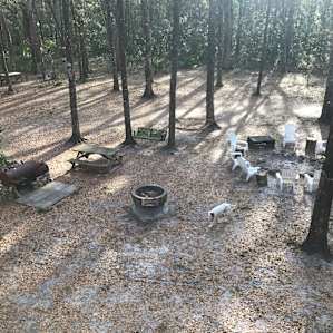 The dogs absolutely loved running around.