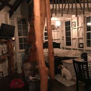 Tree House Cabin Retreat