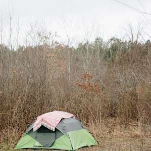 We set up camp in a private space surrounded by brush and trees.