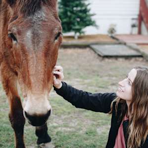 Horse Camping Ranch