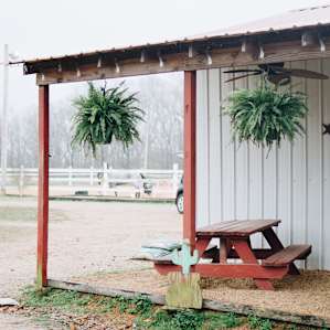 Horse Camping Ranch