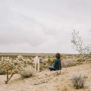 people dog desert