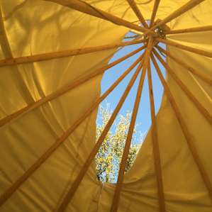 Tipi In The Orchard