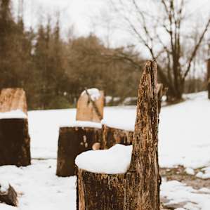 Carved wooden chairs near the fire pit. Skipped using these since there were 3-4 inches of fresh snow acting as a seat cushion.