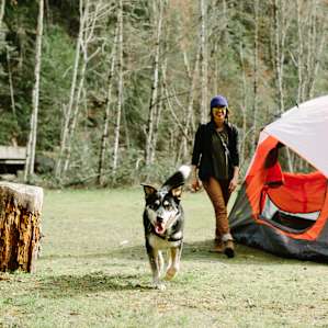 Enjoying the campsite