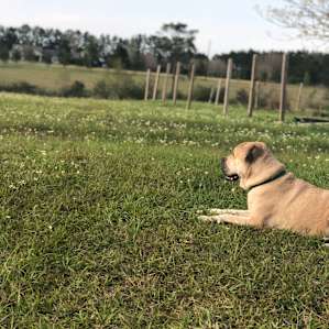 Sam Sprouts Farm