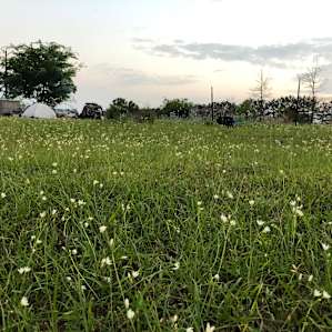 Sam Sprouts Farm