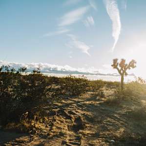 desert