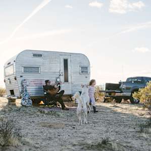 people rv dog