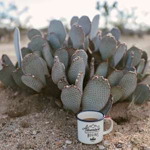 coffee food