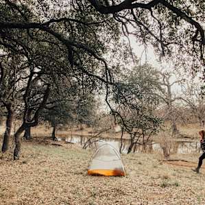 tent forest people